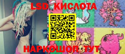герыч Кингисепп