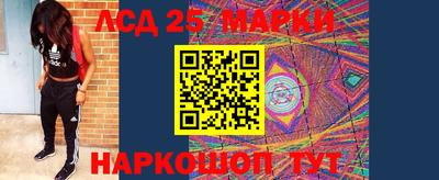 spice Кимры