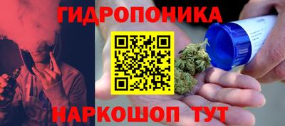spice Кимры
